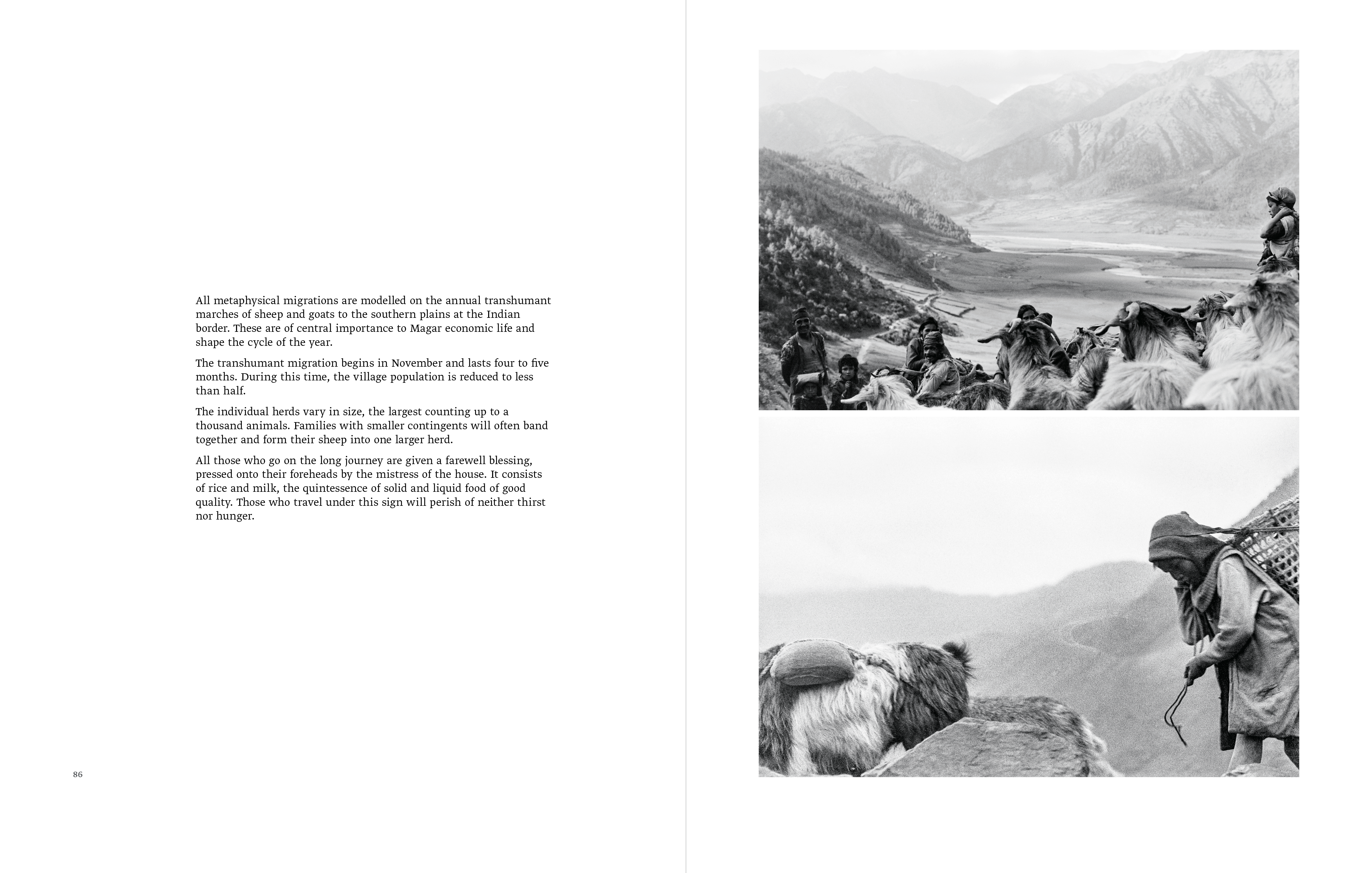 Galerie Buchholz | Michael Oppitz – Shamans of the Blind Country – 8687