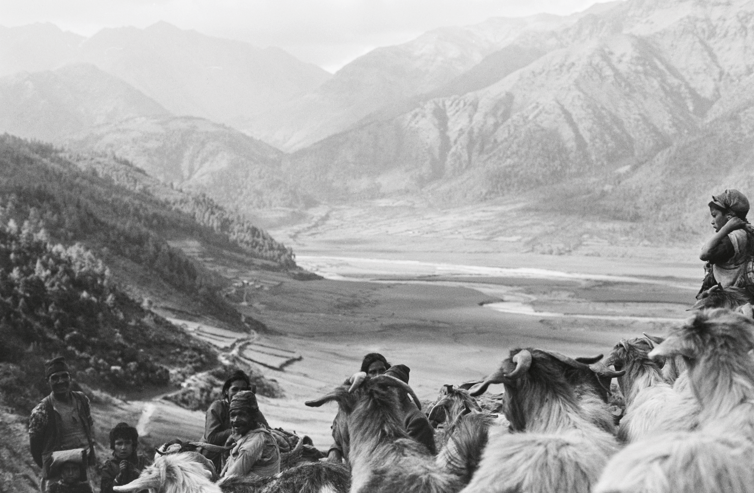 Oppitz – Kolumba – Mythische Landschaften – 1011